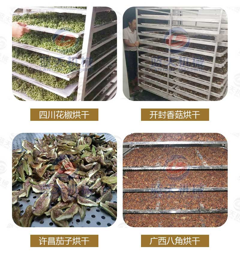 地黃烘干機(jī)廠家實拍