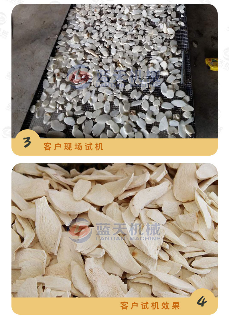 帶式山藥烘干機(jī)產(chǎn)家實(shí)拍