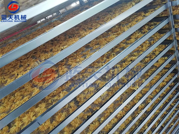 菊花烘干機烘干現(xiàn)場