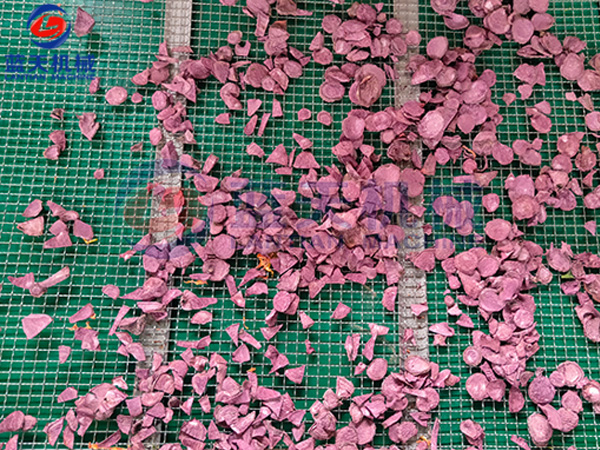 四川紅薯干烘干機(jī)烘干現(xiàn)場